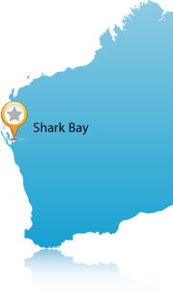 Location of Shark Bay